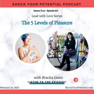 Read more about the article The 5 Levels of Pleasure – Bracha Goetz